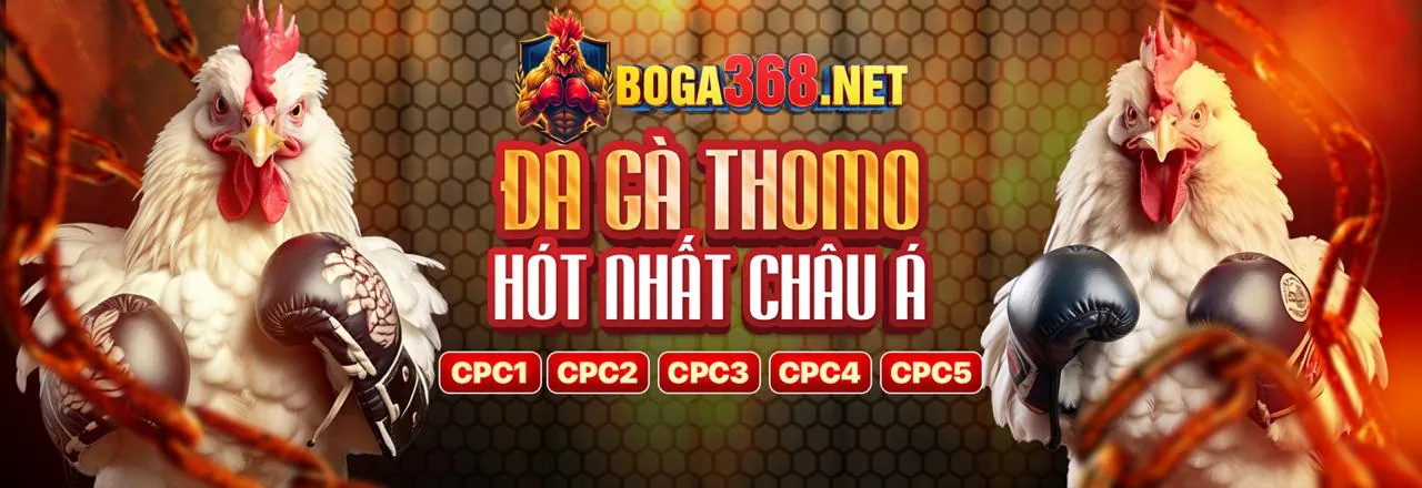 Đá gà trực tiếp sun20 code 2026