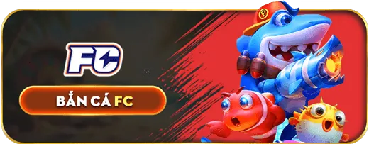 Minh họa câu hỏi thường gặp